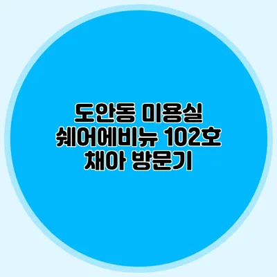 도안동 미용실 쉐어에비뉴 102호 채아 방문기