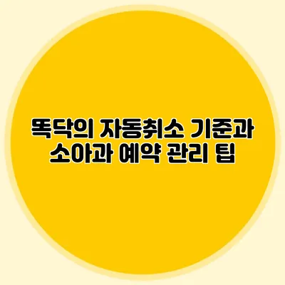 똑닥의 자동취소 기준과 소아과 예약 관리 팁