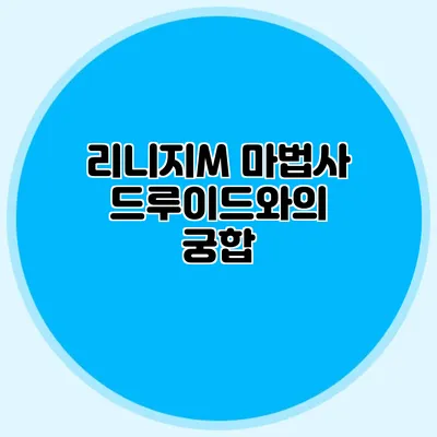 리니지M 마법사 드루이드와의 궁합