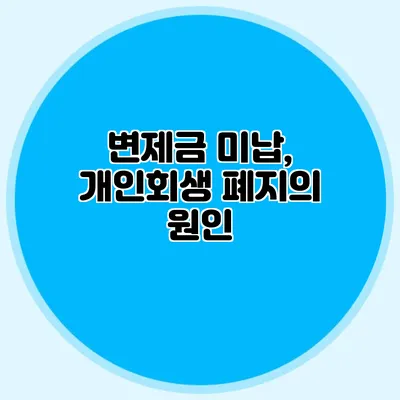 변제금 미납, 개인회생 폐지의 원인