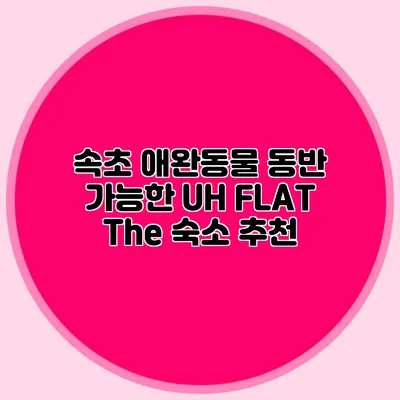속초 애완동물 동반 가능한 UH FLAT The 숙소 추천