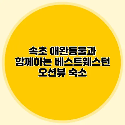 속초 애완동물과 함께하는 베스트웨스턴 오션뷰 숙소