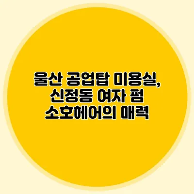 울산 공업탑 미용실, 신정동 여자 펌 소호헤어의 매력