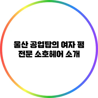 울산 공업탑의 여자 펌 전문 소호헤어 소개