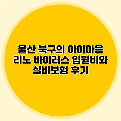 울산 북구의 아이마음 리노 바이러스 입원비와 실비보험 후기