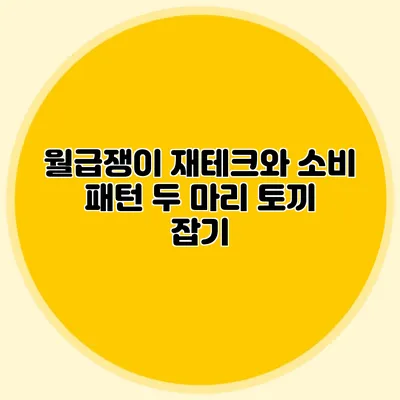 월급쟁이 재테크와 소비 패턴: 두 마리 토끼 잡기