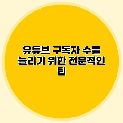 유튜브 구독자 수를 늘리기 위한 전문적인 팁