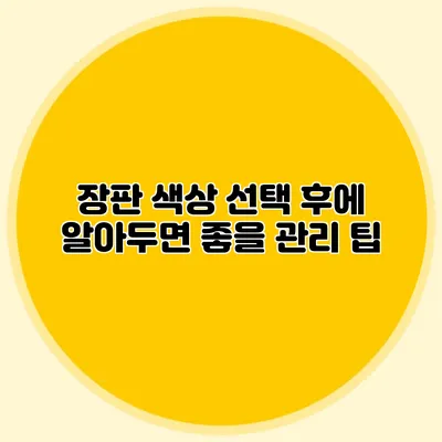 장판 색상 선택 후에 알아두면 좋을 관리 팁