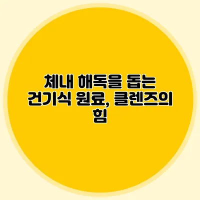 체내 해독을 돕는 건기식 원료, 클렌즈의 힘