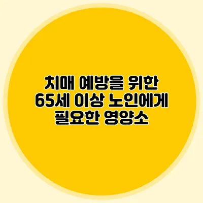 치매 예방을 위한 65세 이상 노인에게 필요한 영양소