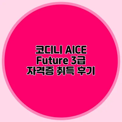 코디니 AICE Future 3급 자격증 취득 후기