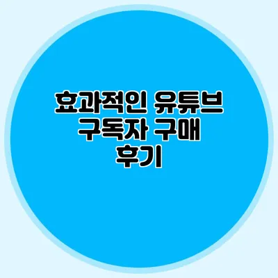 효과적인 유튜브 구독자 구매 후기