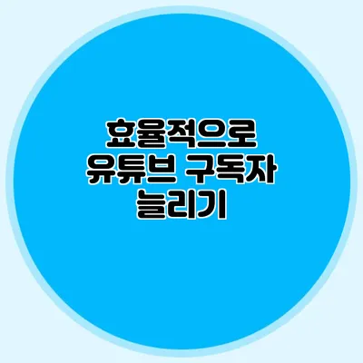 효율적으로 유튜브 구독자 늘리기