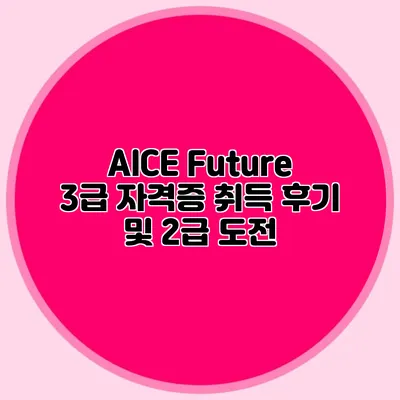 AICE Future 3급 자격증 취득 후기 및 2급 도전