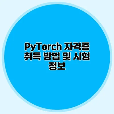 PyTorch 자격증 취득 방법 및 시험 정보