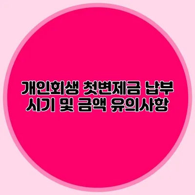 개인회생 첫변제금 납부 시기 및 금액 유의사항