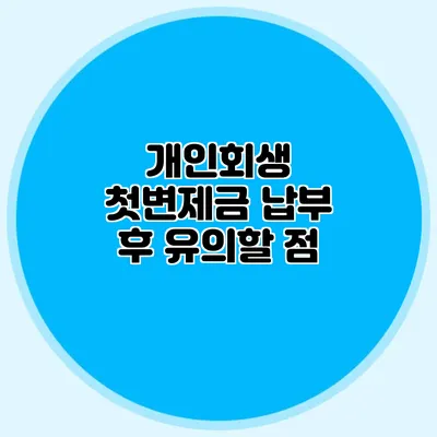 개인회생 첫변제금 납부 후 유의할 점