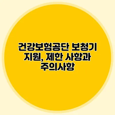 건강보험공단 보청기 지원, 제한 사항과 주의사항