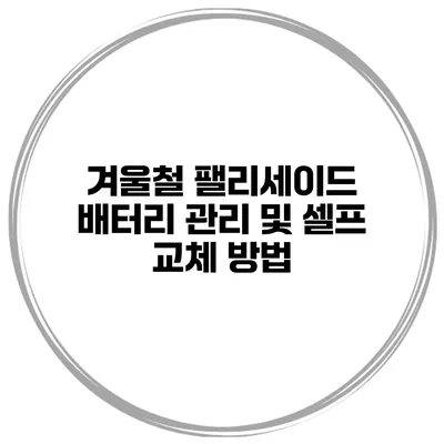 겨울철 팰리세이드 배터리 관리 및 셀프 교체 방법