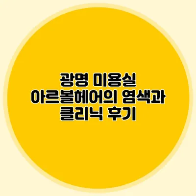 광명 미용실 아르볼헤어의 염색과 클리닉 후기