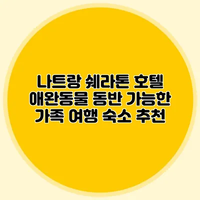 나트랑 쉐라톤 호텔 애완동물 동반 가능한 가족 여행 숙소 추천