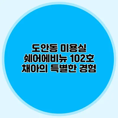 도안동 미용실 쉐어에비뉴 102호 채아의 특별한 경험