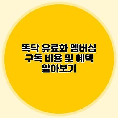 똑닥 유료화 멤버십 구독 비용 및 혜택 알아보기