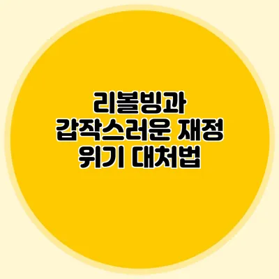 리볼빙과 갑작스러운 재정 위기 대처법