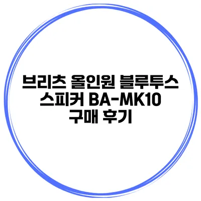 브리츠 올인원 블루투스 스피커 BA-MK10 구매 후기