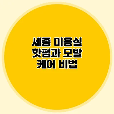 세종 미용실 핫펌과 모발 케어 비법