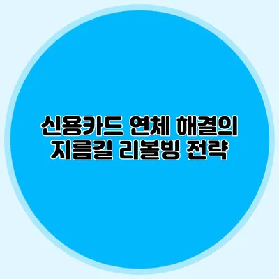 신용카드 연체 해결의 지름길: 리볼빙 전략