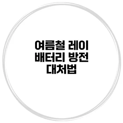 여름철 레이 배터리 방전 대처법