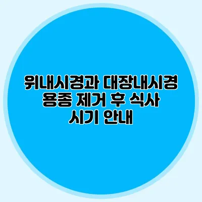 위내시경과 대장내시경: 용종 제거 후 식사 시기 안내