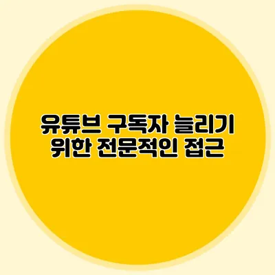 유튜브 구독자 늘리기 위한 전문적인 접근