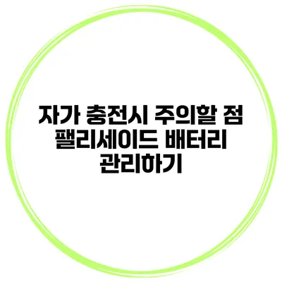 자가 충전시 주의할 점 팰리세이드 배터리 관리하기