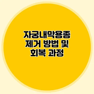 자궁내막용종 제거 방법 및 회복 과정