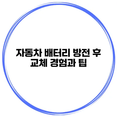 자동차 배터리 방전 후 교체 경험과 팁