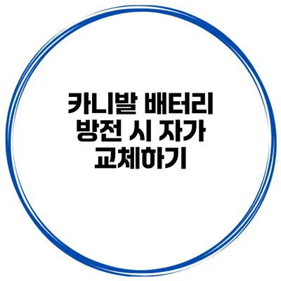 카니발 배터리 방전 시 자가 교체하기