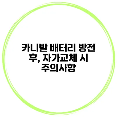 카니발 배터리 방전 후, 자가교체 시 주의사항