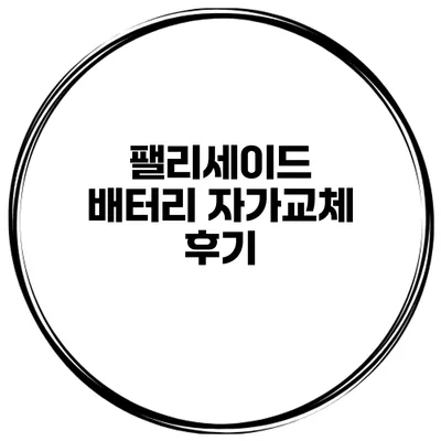 팰리세이드 배터리 자가교체 후기